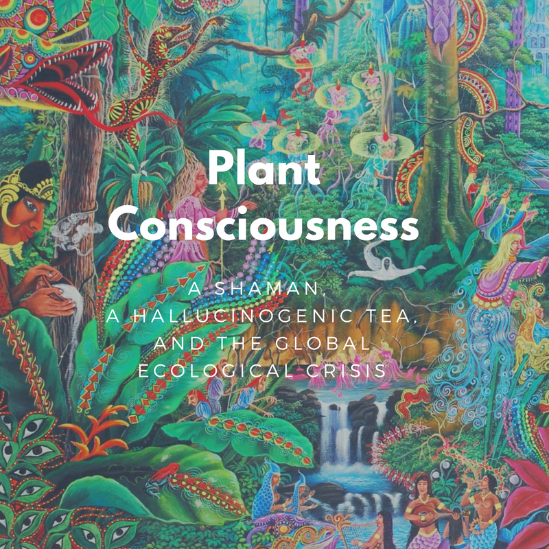 Plant consciousness: A shaman, a hallucinogenic tea, and the global ecological crisis